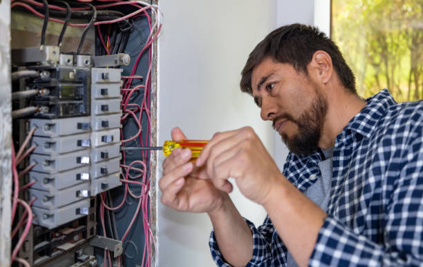 Best Home Electrical Repair  in Elsa, TX